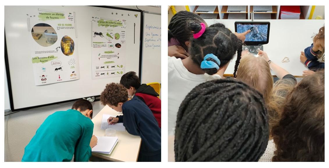 Ateliers pratique du projet FOURMIdable