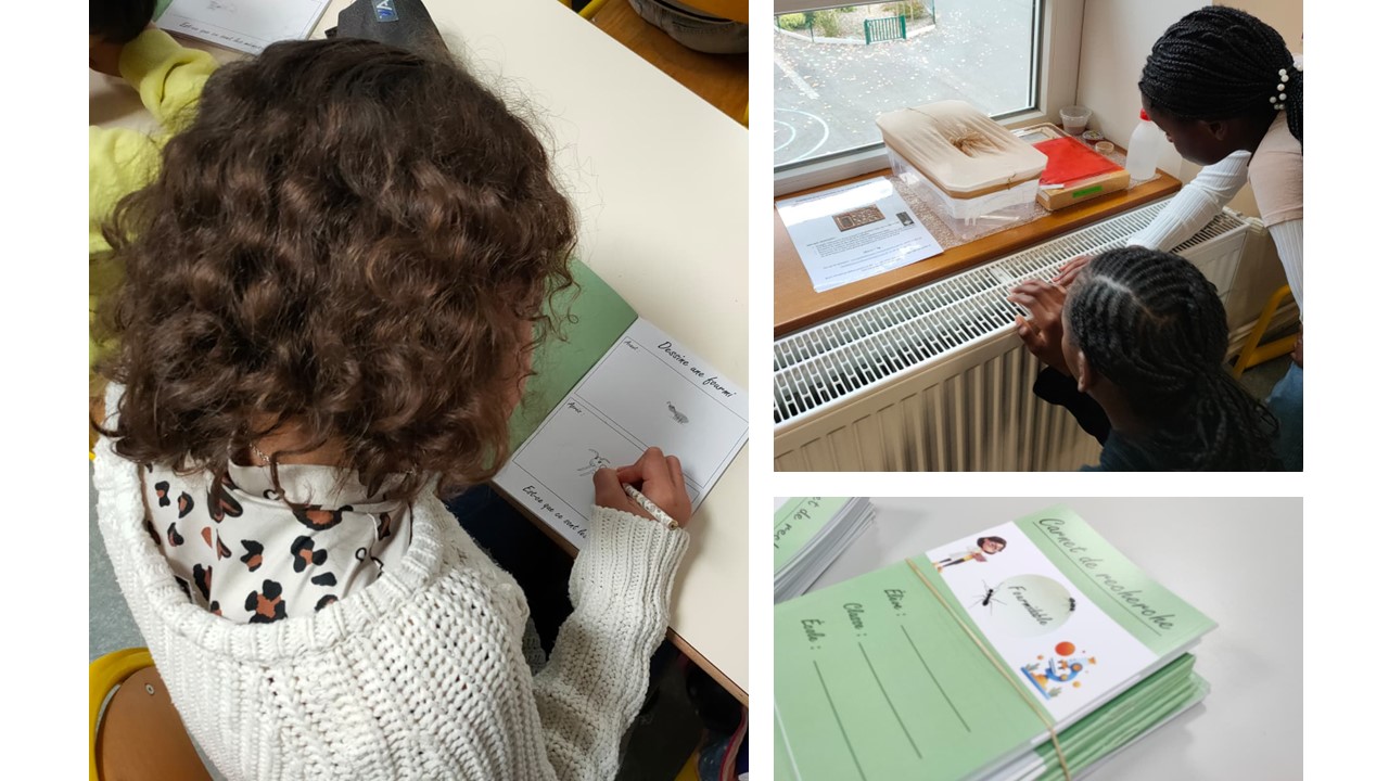 Présentation du projet FOURMIdable